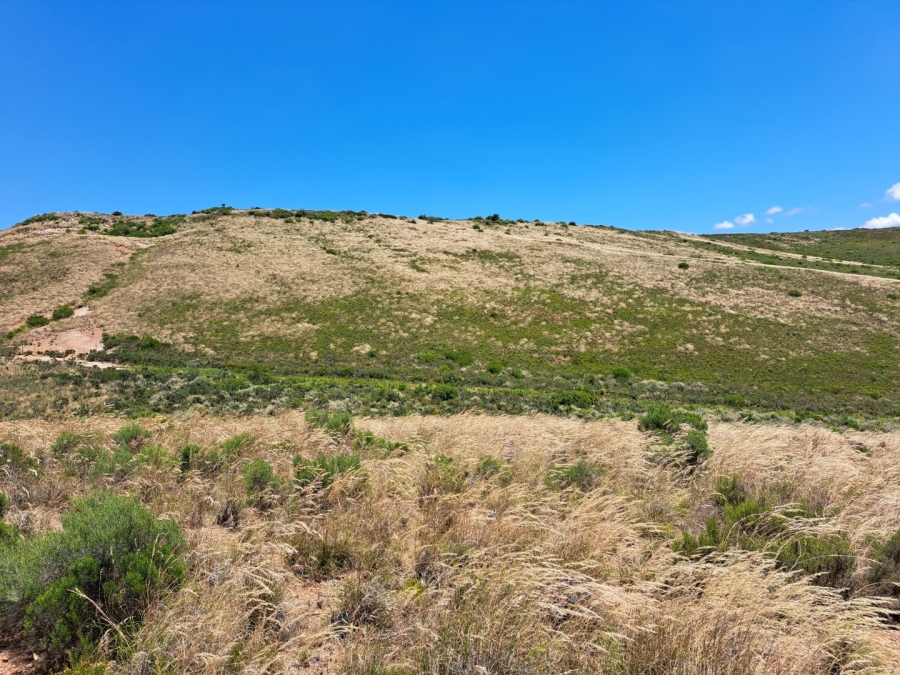 17 Bedroom Property for Sale in Riversdale Rural Western Cape